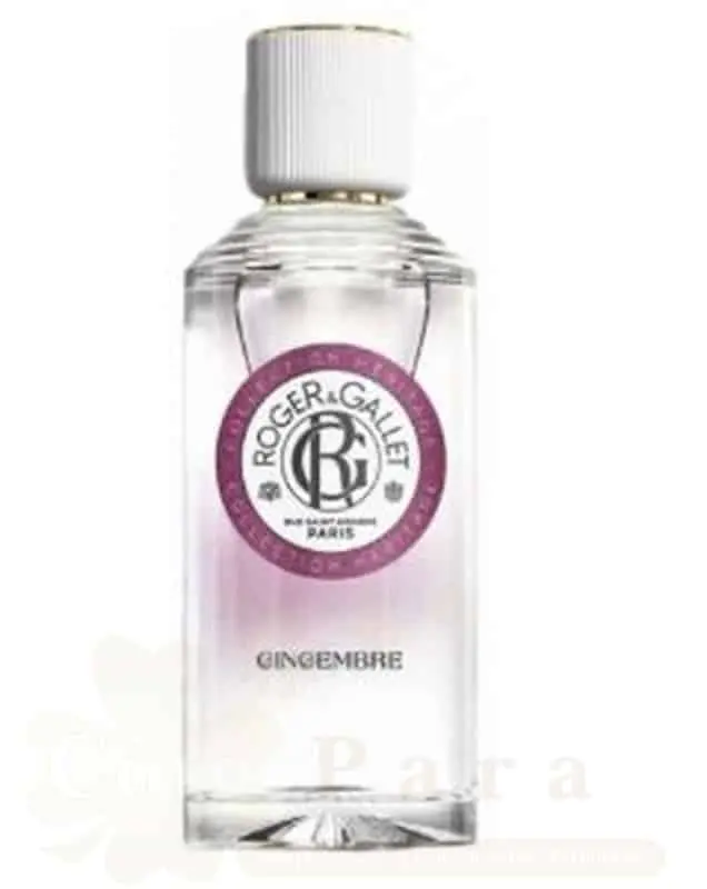 ROGER & GALLET GINGEMBRE EAU PARFUMEE 100ML REF1221