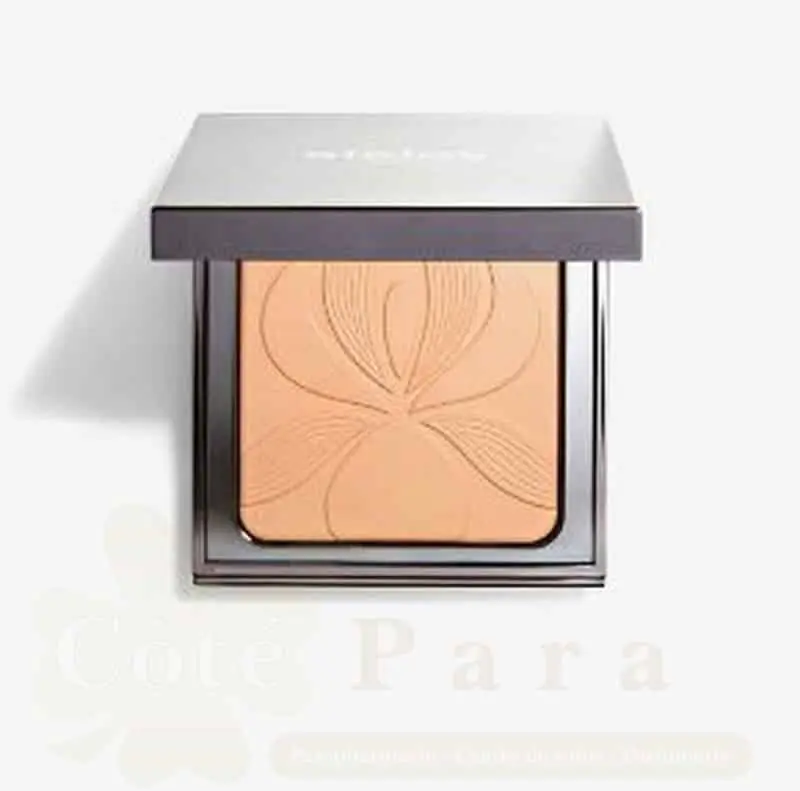 SISLEY BLUR EXPERT POUDRE PERFECTEUR 15G REF 183051