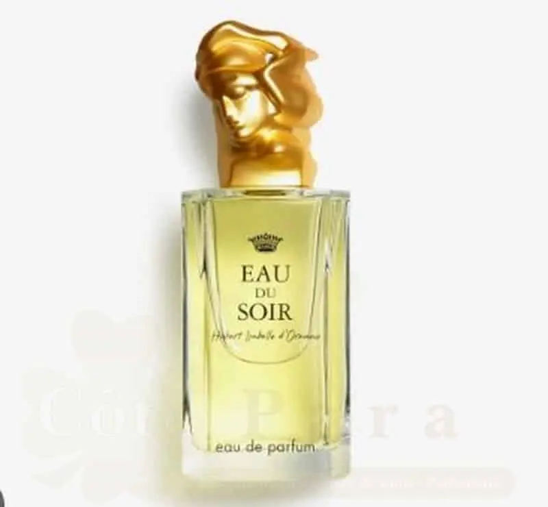 SISLEY EAU DU SOIR EAU DE PARFUM 100ml