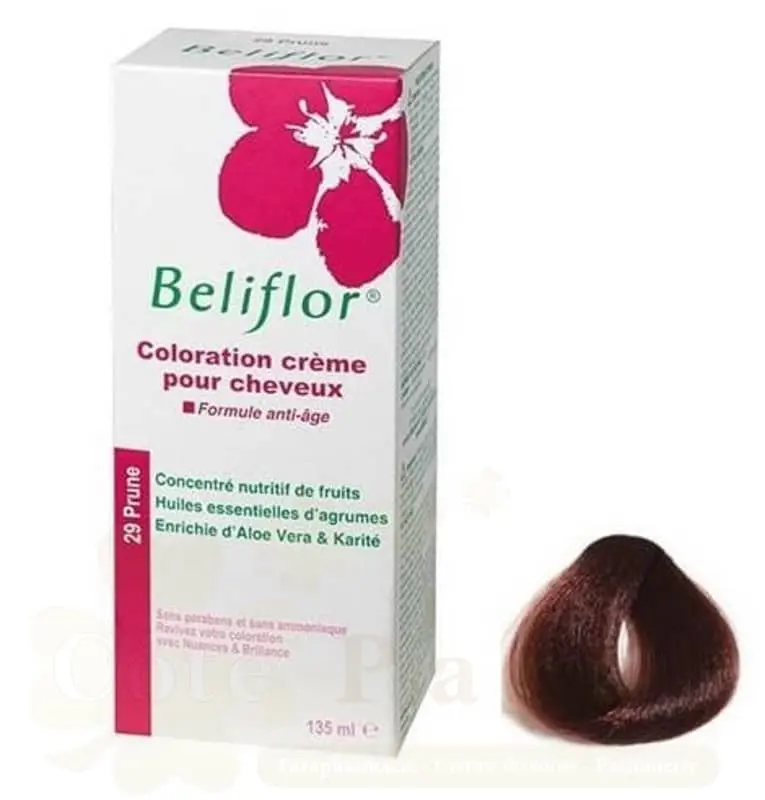 BELIFLOR COLORATION 29 PRUNE