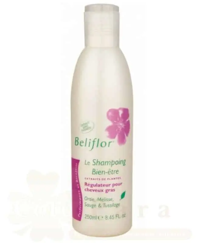 BELIFLOR SHAMPOOING REGULATEUR POUR CHEVEUX GRAS 250ML