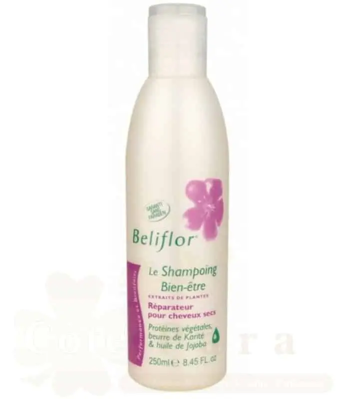 BELIFLOR SHAMPOOING REPARATEUR CHEVEUX SEC 250ML