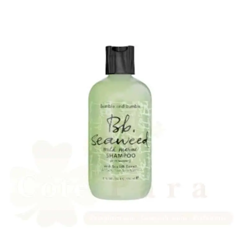 BUMBLE AND BUMBLE SOIN CLASSIC SEAWEED SHAMPOING 250ML