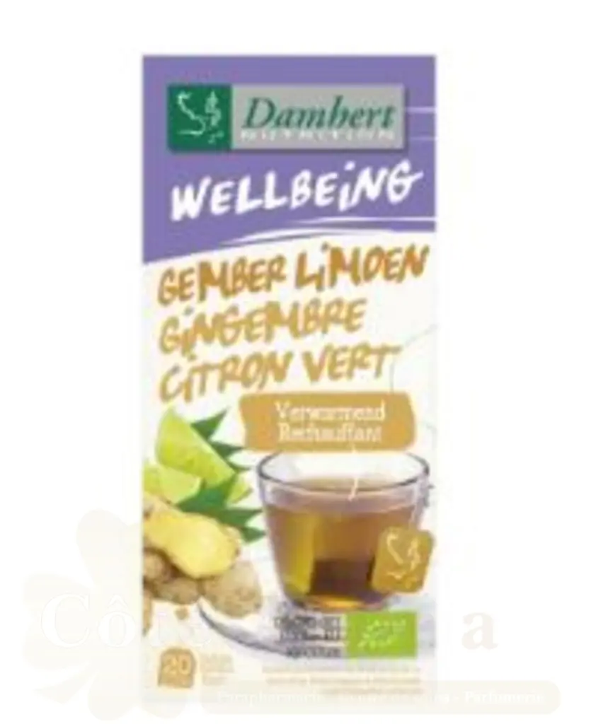 DAMHERT WELLBEING TISANE GEMBER LIMOEN 20*1.75G