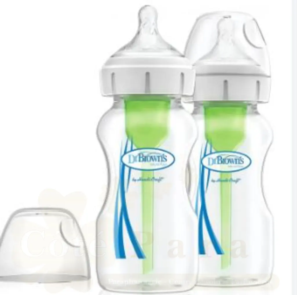 DR BROWNS 2 BIBERONS ANTI COLIC COL LARGE 270ML WB92600