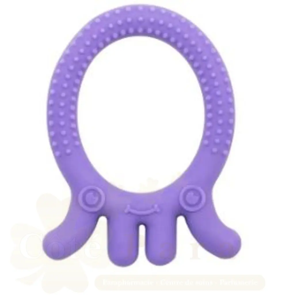 DR BROWNS FLEXEES FRIENDS ANNEAU DE DENTION 3M+ TE006-P2