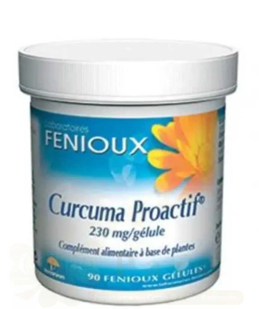 FENIOUX CURCUMA PROACTIF PILLULIER 90 GÉLULES
