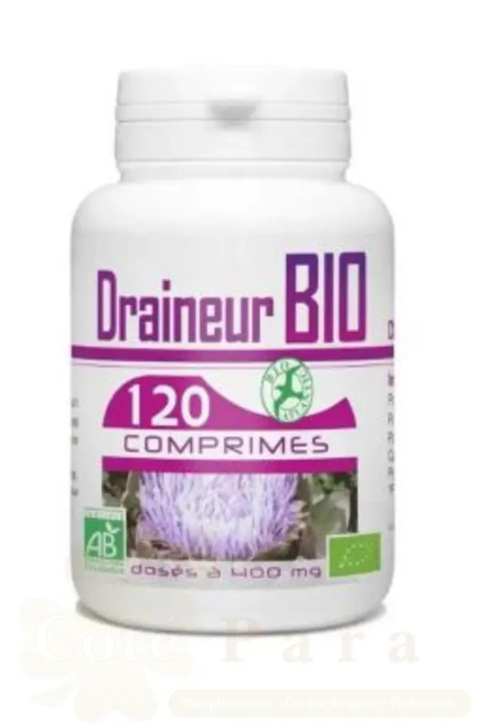 GPH DIFFUSION (ARTICHAUT) DRAINEUR BIO 120 COMPRIMES