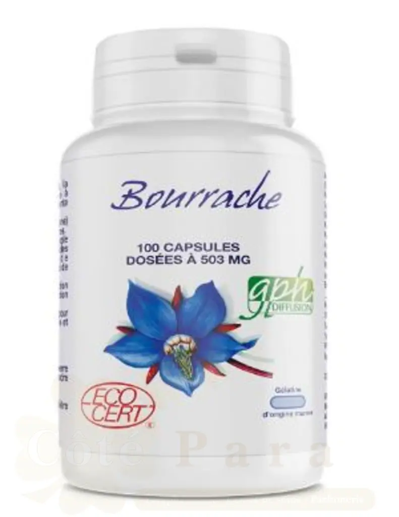 GPH DIFFUSION BOURRACHE 100 CAPSULES 503MG