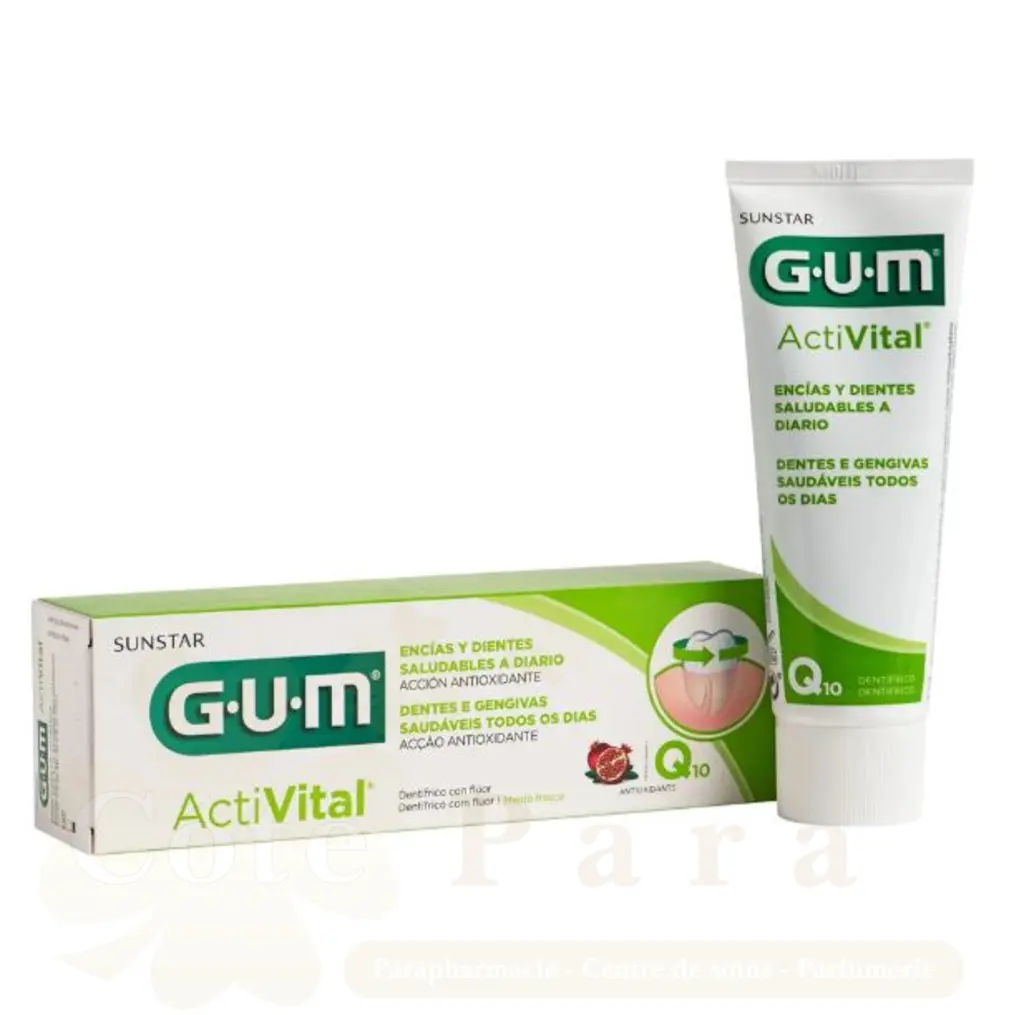 GUM DENTIFRICE ACTIVITAL 75ML REF6050