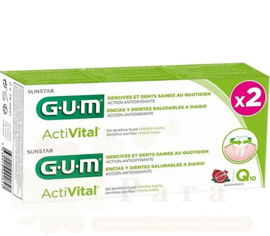 GUM DENTIFRICE ACTIVITAL LOT DE 2 6050/2