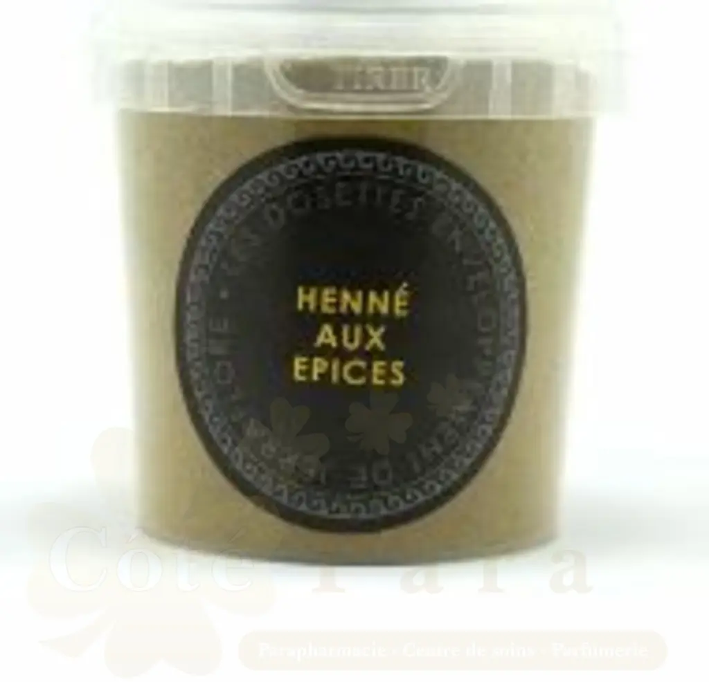 JERRAFLORE HENNE AUX EPICES 60G