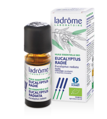 LADROME HUILE ESSENTIELLE BIO EUCALYPTUS RADIE 10ML