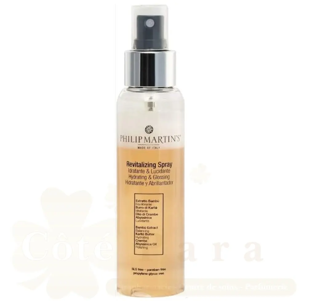 PHILIP MARTIN’S REVITALIZING SPRAY BRILLANCE ET HYDRATATION 100ML