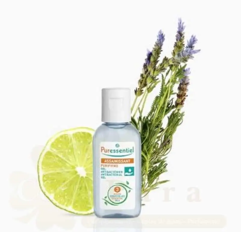 PURESSENTIEL GEL ANTIBACTERIEN 250ML