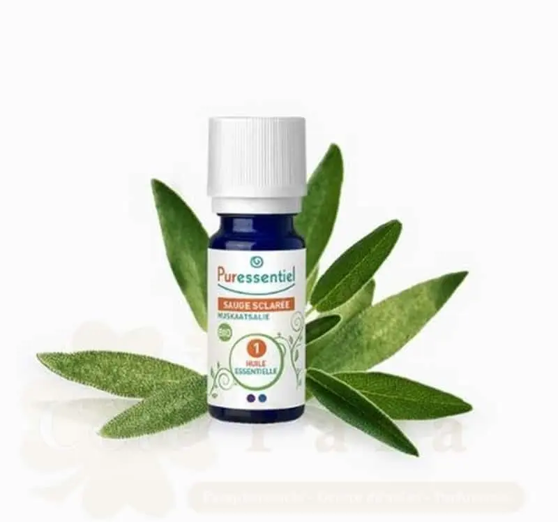 PURESSENTIEL H.E SAUGE SCLAREE 5ML