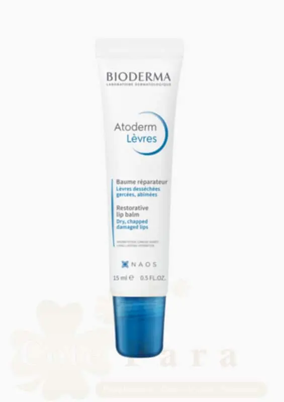 BIODERMA ATODERM BAUME LEVRES 15ML