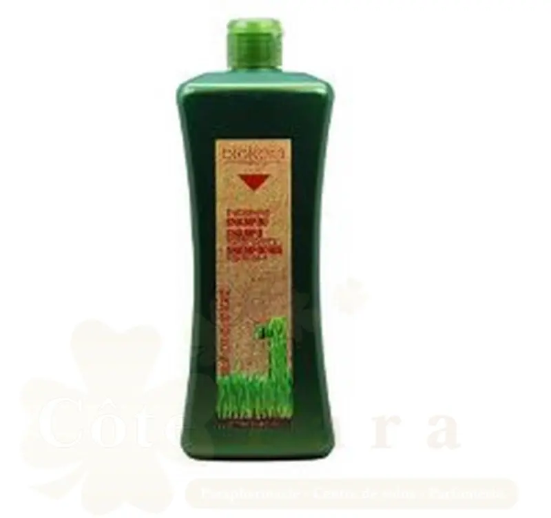 BIOKERA NATURE SHAMPOOING ANTI CHUTE 1000ML