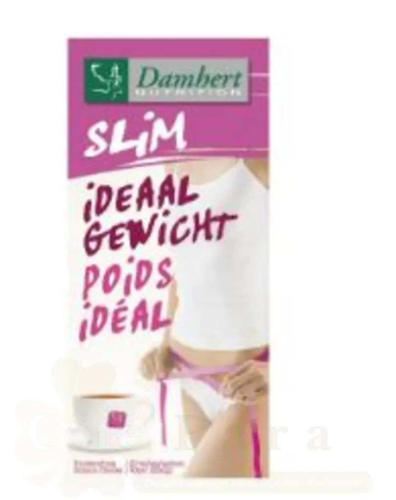 DAMHERT TISANE SLIM POIDS IDEAL 20*2G