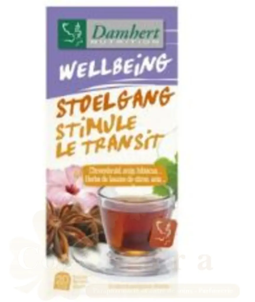DAMHERT TISANE WELLBEING TEA REGLISSE 20*2G
