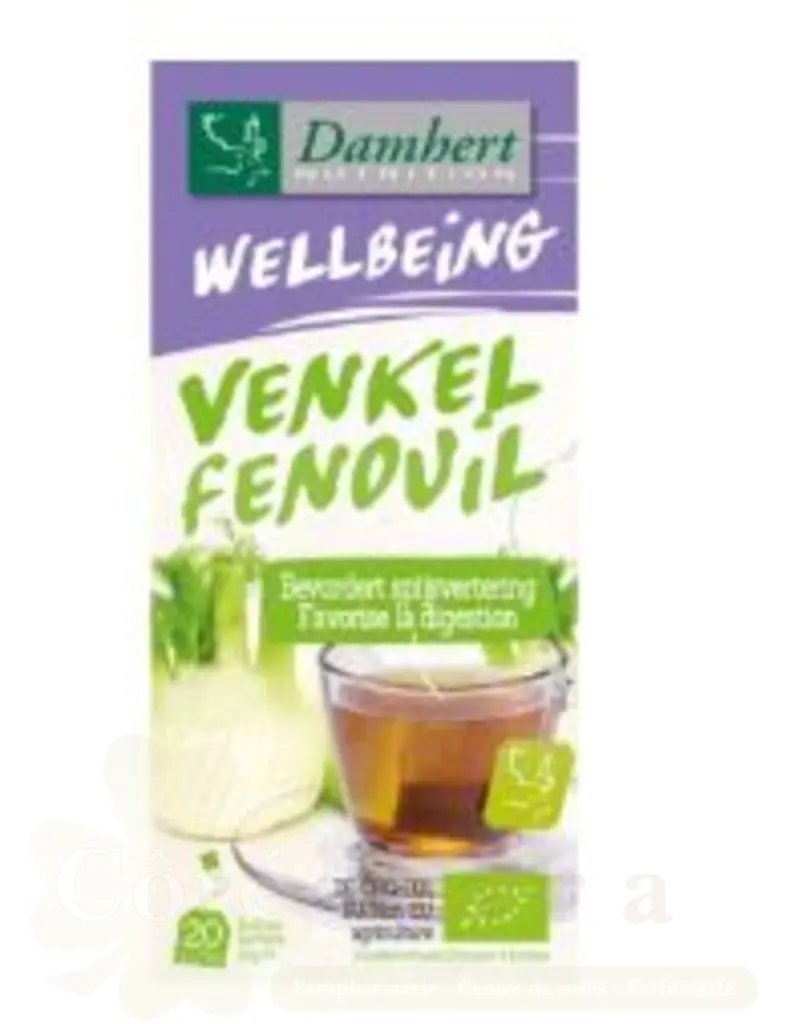 DAMHERT TISANE WELLBEING THE FENOUIL 20*2G