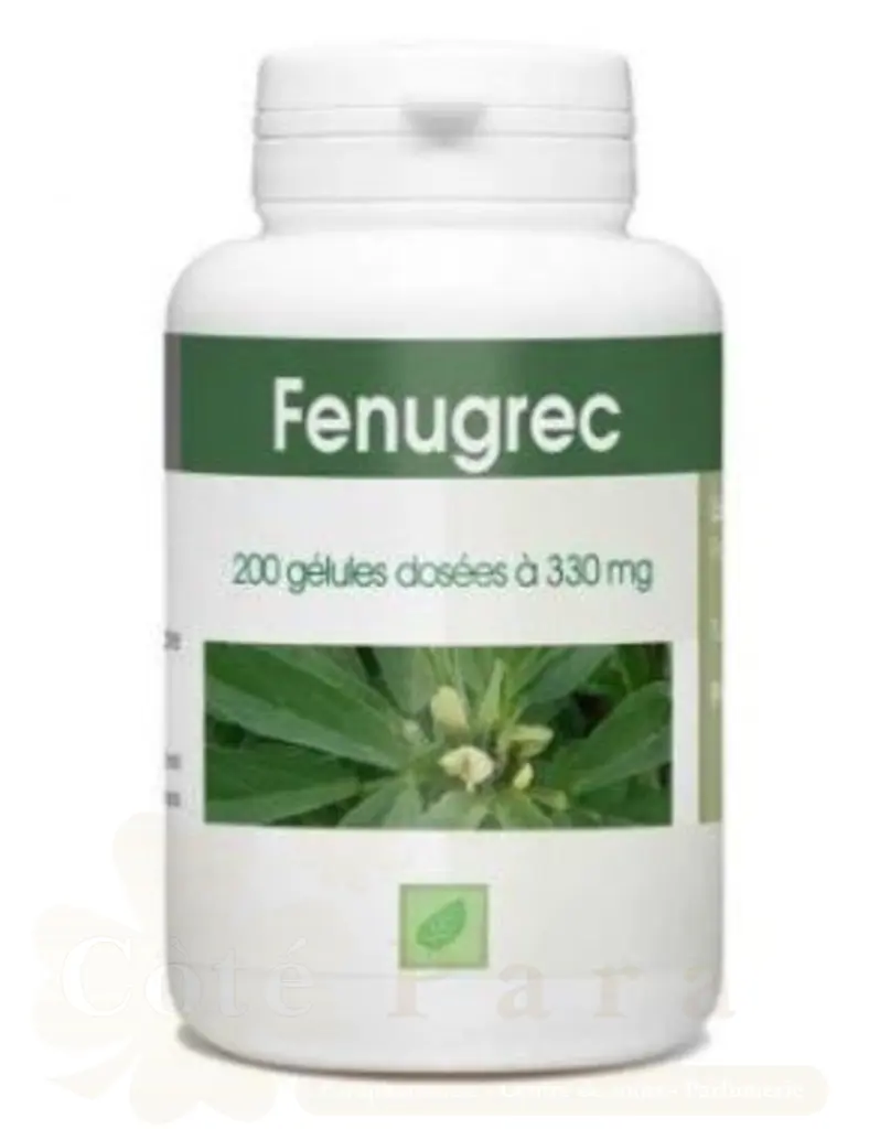 GPH DIFFUSION GELEE ROYALE 1500MG 20 AMPOULES