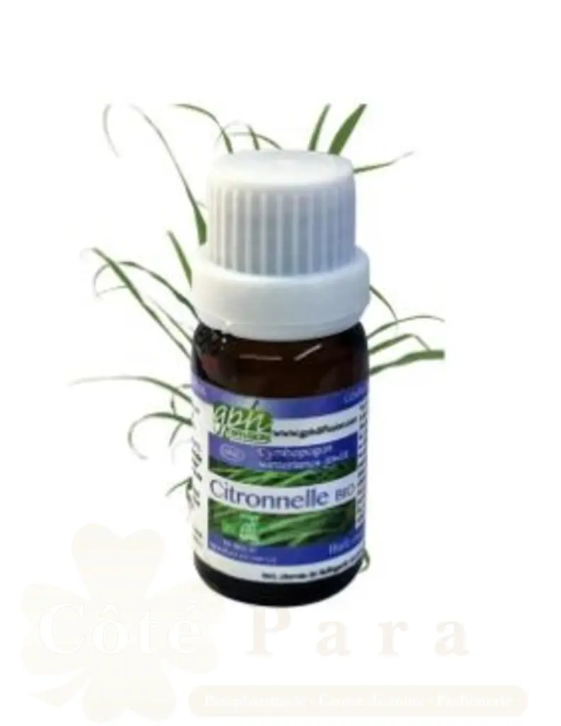 GPH DIFFUSION HUILE ESSENTIELLE CITRONNELLE 10ML