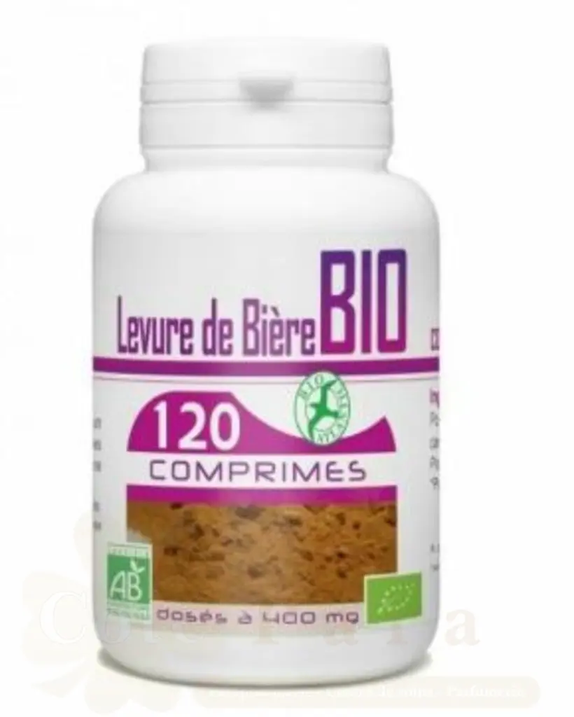 GPH DIFFUSION LEVURE DE BIERE BIO 120 COMPRIMES
