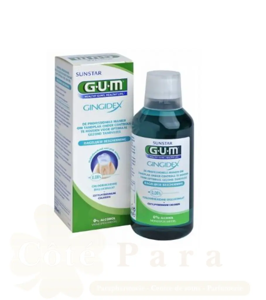 GUM BAIN DE BOUCHE GINGIDEX 300ML 1704