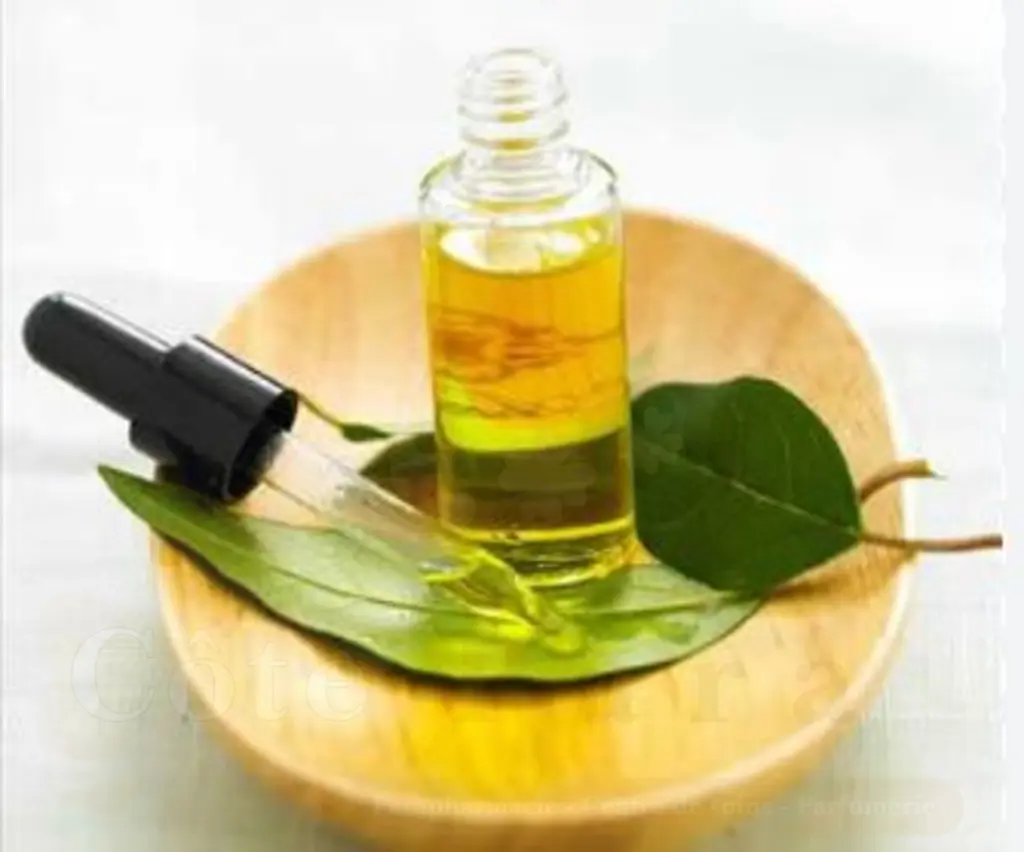 HUILE DE CAMPHREE 1L