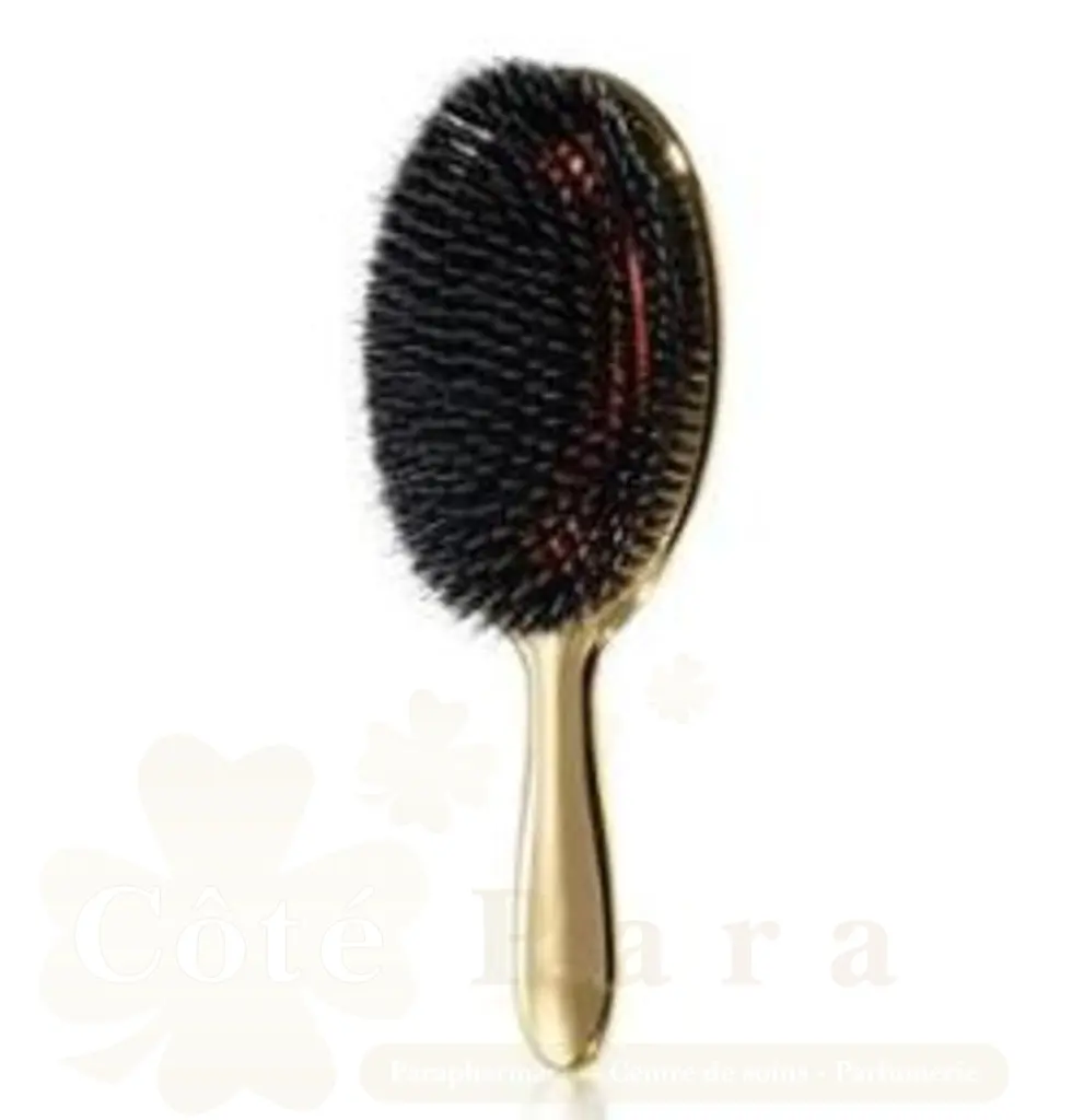 JANEKE BROSSE A CHEVEUX FINITION DORE G MODEL 23*9*4 5CM AUSP23M