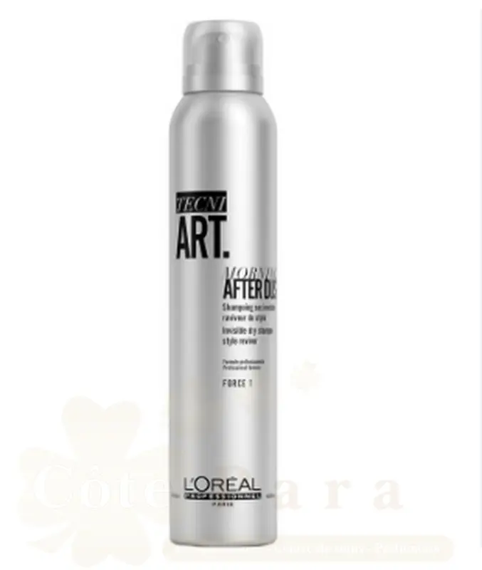 L’OREAL PROFESSIONNEL TNA19 MORNING AFTER DUST FORCE 1 200ML