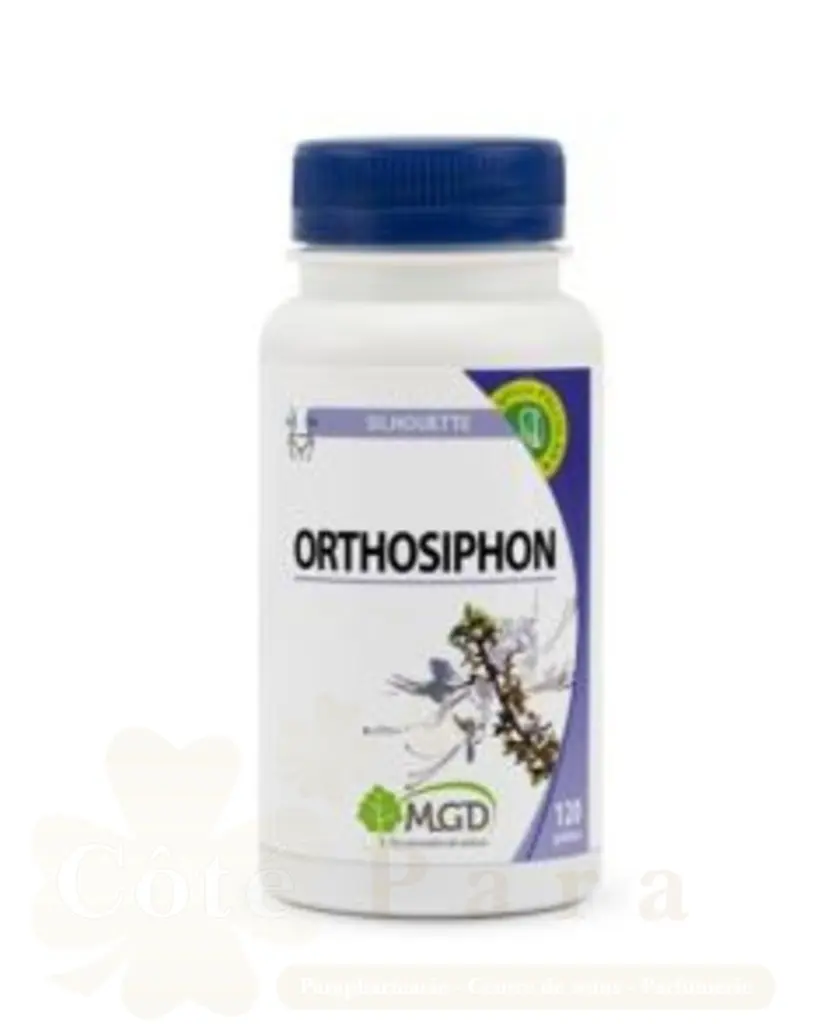 MGD ORTHOSIPHON 120 GEL