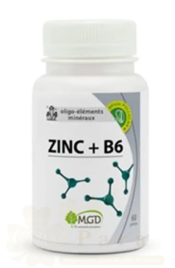 MGD ZINC+B6 60 GELULES