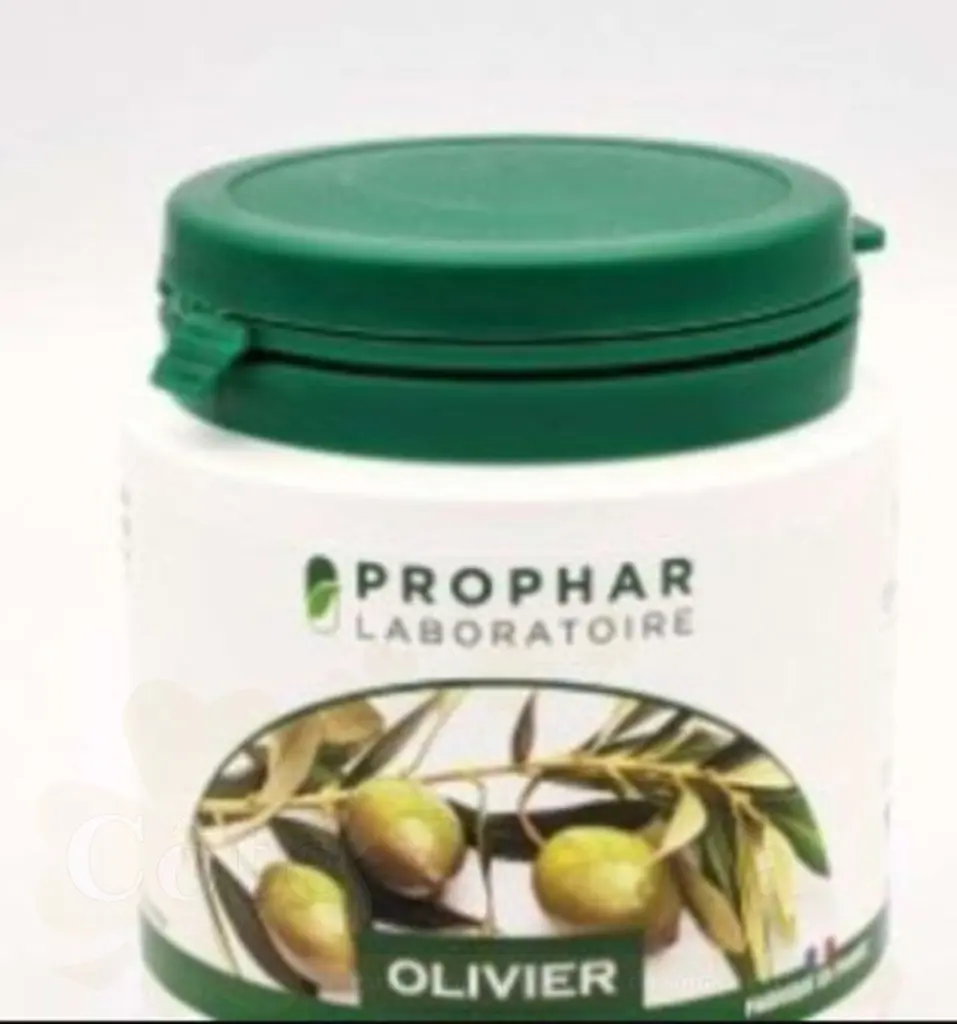 PROPHAR KUDZU 100 GELULES